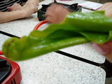 49f0e638.jpg