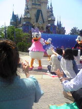 cca73640.jpg