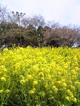 f89a4c81.jpg