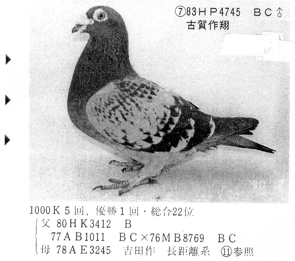 ȷ-7