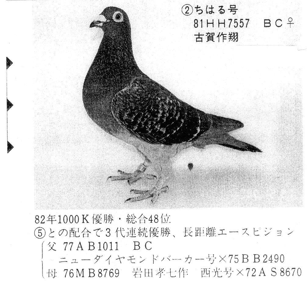 ȷ-2