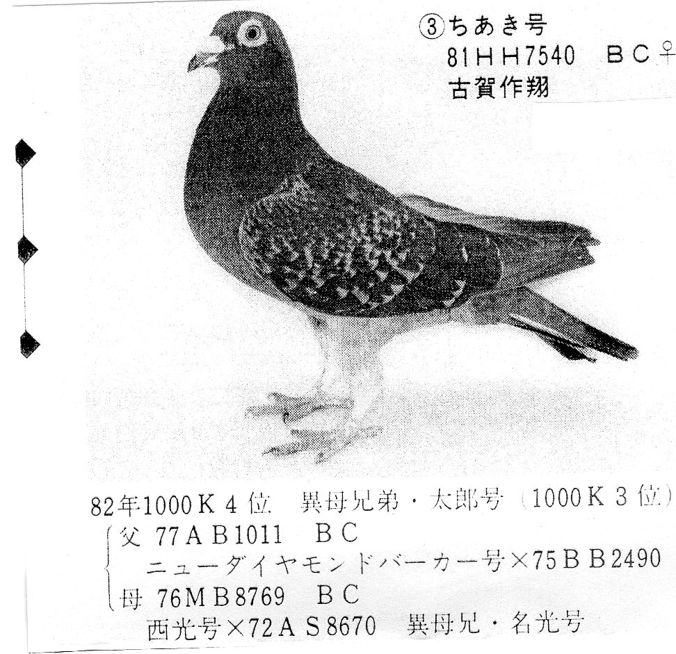 ȷ-3