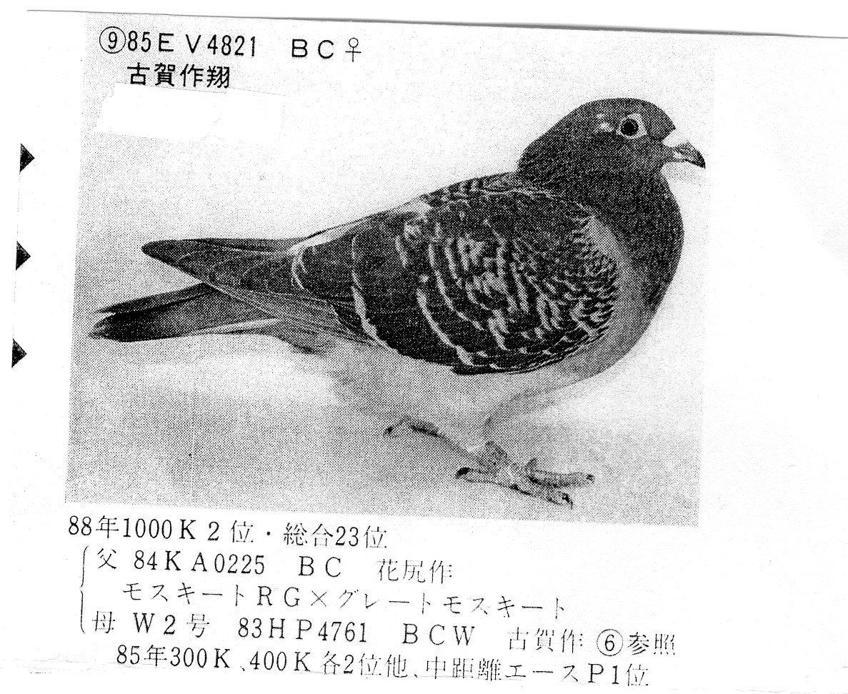 ȷ-9
