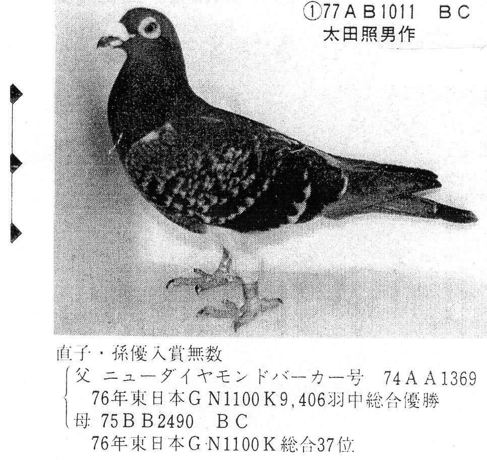 ȷ-1