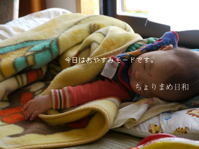 ちょりまめ日和