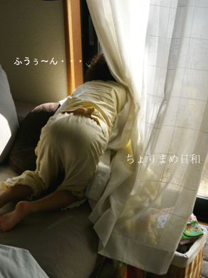 ちょりまめ日和
