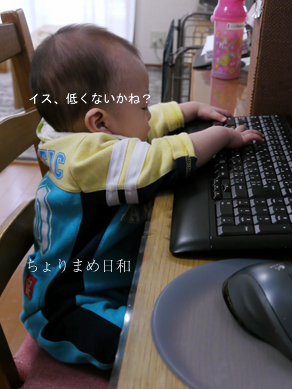 ちょりまめ日和