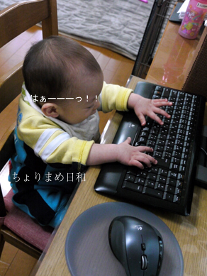 ちょりまめ日和