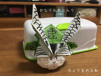 こどもの日20180505-12