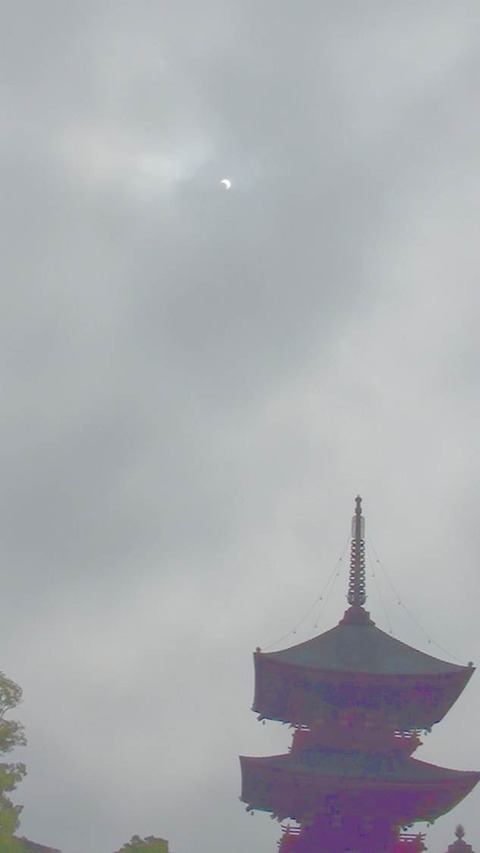 ◎Naritasan_DSC01445ColEdTate