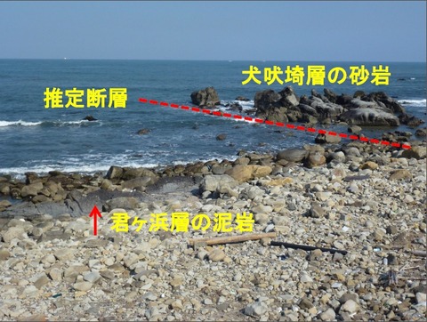 君ヶ浜側から見る断層Ed
