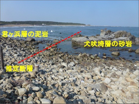犬吠側から見る断層Ed