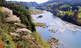 kawa1