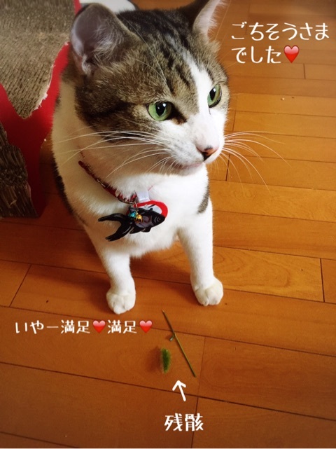{C87E0632-7ECC-4F6C-A933-6B7BC61C76E8}