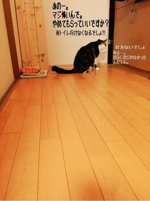 {39463A97-552D-45D9-BD3B-64CE4B80338F:01}
