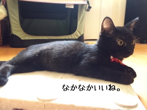 {A74E34EF-8A7B-4DE7-AA36-F150B3072EB2}