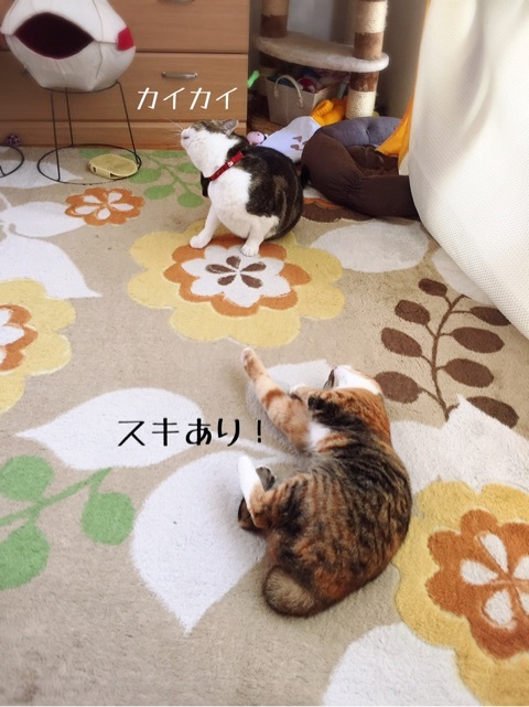 {EC89C8E1-0C06-4573-A3A2-ABD9339CEA25}