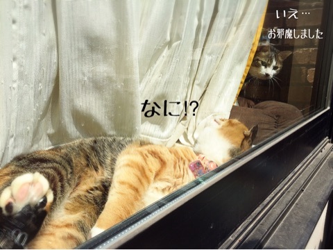 {732A3FBA-7AA0-4137-A67D-1C09C470B05C}