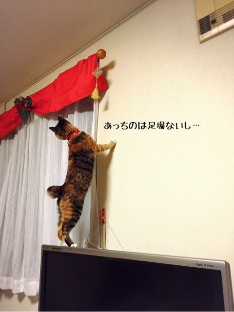 {2FD5AFAE-245E-4EF6-A14B-62878044FDD1:01}