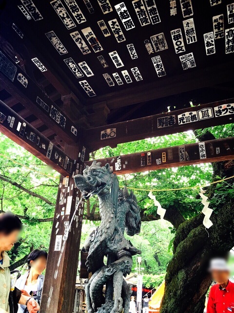 {70D590ED-FD31-4F1E-AAE8-A2B4739F31EE:01}
