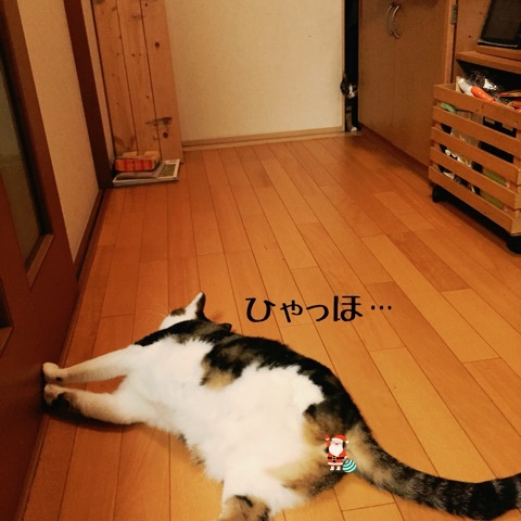 {7312F64E-E2B6-4E24-95A4-706A073FFAE3:01}