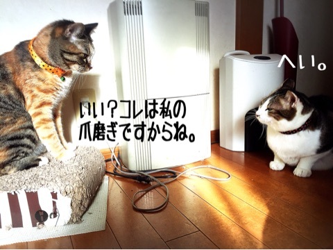 {06C61C3E-5AB1-406A-95C5-F44B3BD4111E:01}
