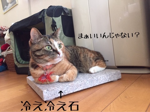 {B66214AD-C434-47DF-BE06-908BF01E89F0}