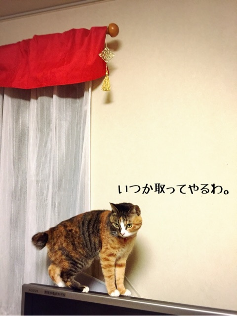 {DA66AA4F-F691-4E85-ABDE-C9430ECC676E:01}