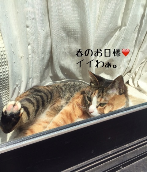 {55B3758C-8DAB-4EE0-96F5-857AA6930315}