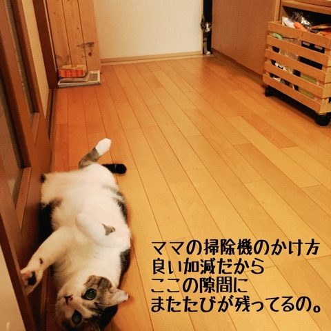 {48AEC5EF-156D-4BC7-B750-138D2C6D76DF:01}