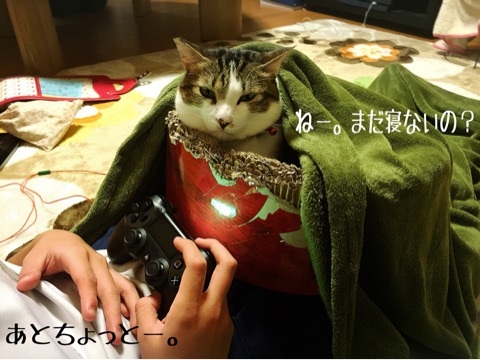 {600E6804-A647-4D35-8881-A64C65443C70:01}