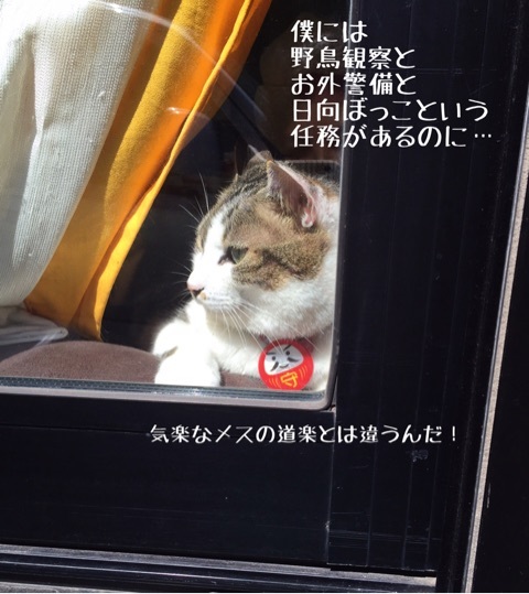 {EF422C46-495E-46DB-9DC2-19326148DAF3}