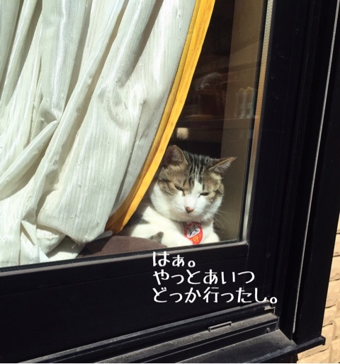 {02CA100D-1C6C-4A03-8855-D20E6124DD54}