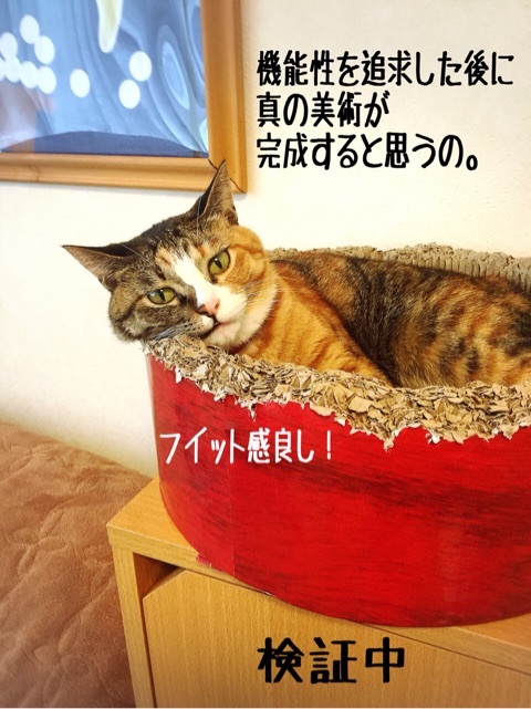 {1913A0E5-849A-4750-A380-422579505252:01}
