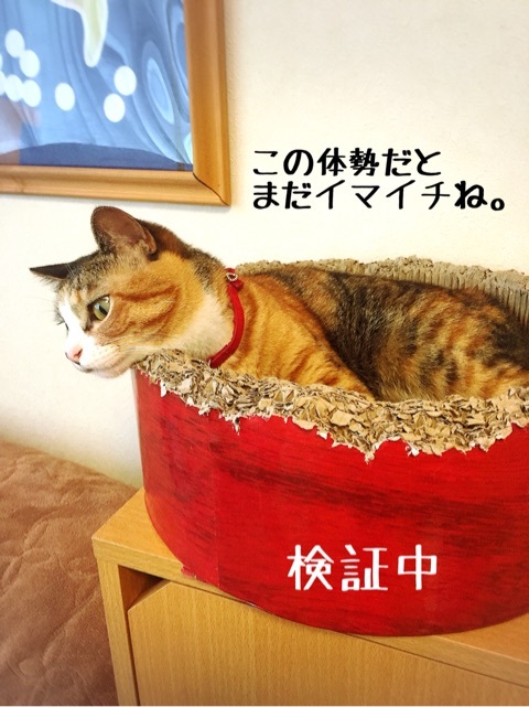 {71E01C68-6FAE-44C1-BA9C-35157B1F2D5D:01}