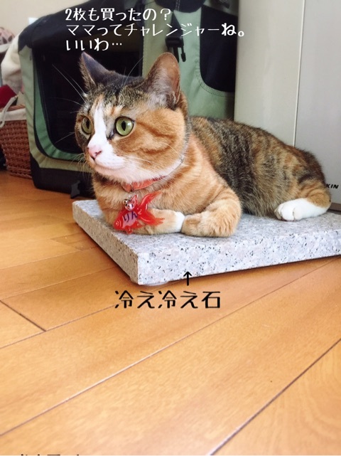 {2AFBDF18-825D-428F-B2F3-62E5466AC782}