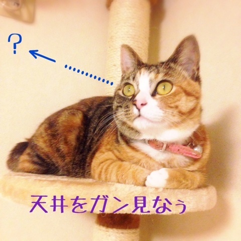 {1789C2BA-59A7-45FB-AC4B-DCD0453FA53B:01}