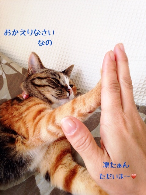 {B7F9860E-B906-4B20-AC5D-EC46A27E61F3:01}