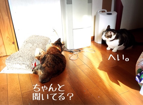 {3A81B674-D44D-4903-A0EB-1F33E0B51C4E:01}