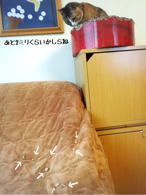 {971C2B7B-77C2-4522-9F47-6B4C8466CC83:01}
