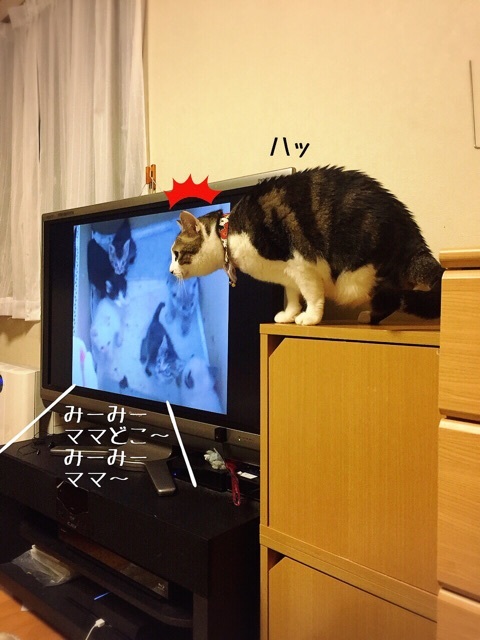 {026BB0FC-DD3C-459F-8AF9-0CBDC4F0BE1A:01}
