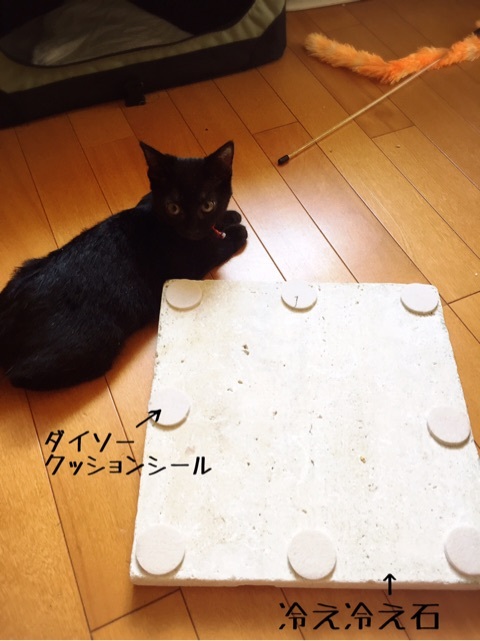 {C29EC0A6-DAB6-4C12-BF9D-0F7BFA681C62}