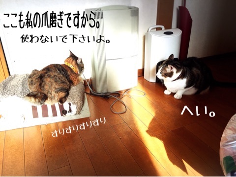 {5EA534A4-C241-4EE0-B60A-27C0697551B8:01}