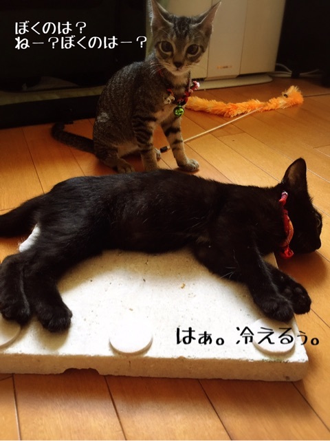{C940ED97-2AEC-423A-9B8A-24A710EC1F1B}