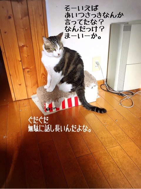 {89DDC505-CF4C-40F8-954D-15DF084A1B2E:01}