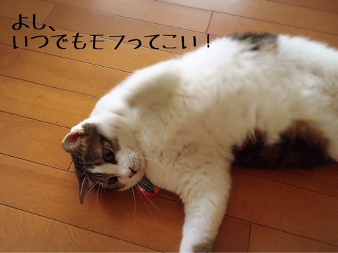 {9443D545-88B5-41DF-B0A9-07AEB372DF8B}