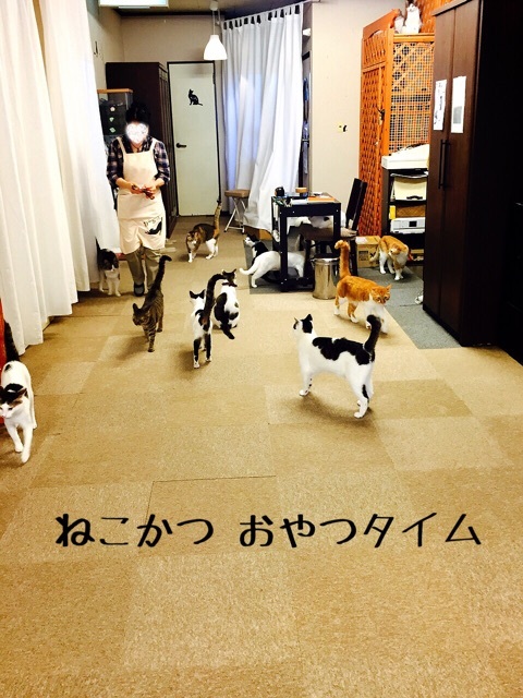 {DD64BB8F-2D82-47CB-9805-8148AC0DFA2D:01}
