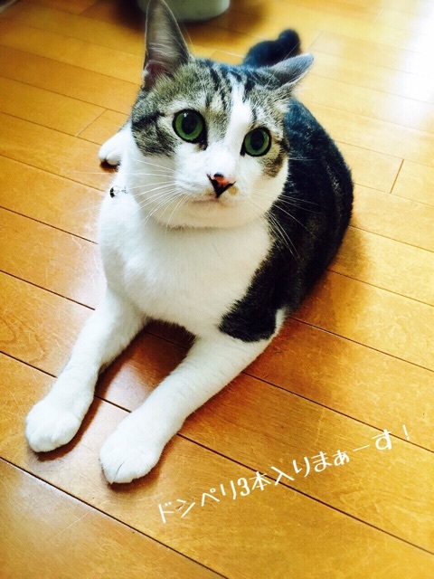 {F918B957-AFE3-47EE-9BB7-FB3A9D21AF78:01}