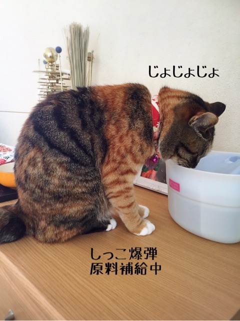 {5CE9FD74-A5A8-46BF-B2C9-A9A9619145C1}
