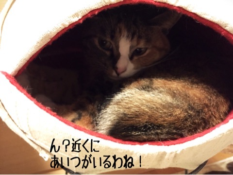 {A8A33730-4EF0-4AA0-97ED-42636EA4BB87:01}